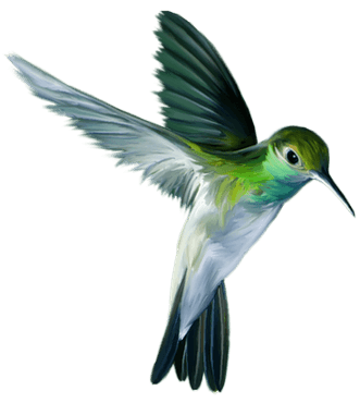 Bird image